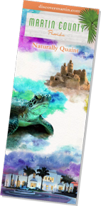 Travel Guide Brochure